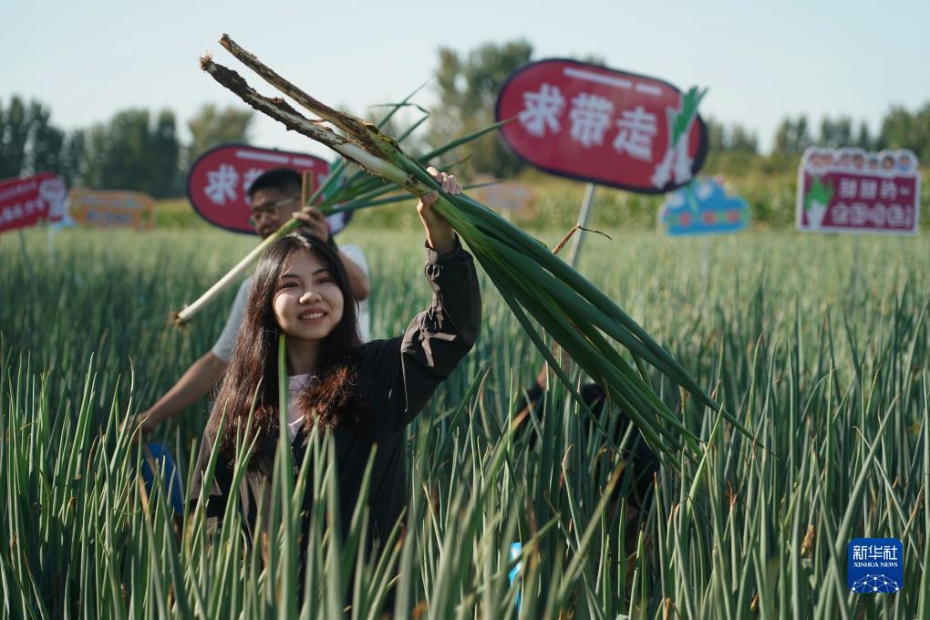 蓝海娱乐发达彩票